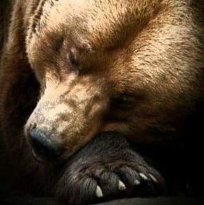 Meet your Posher, Sheila